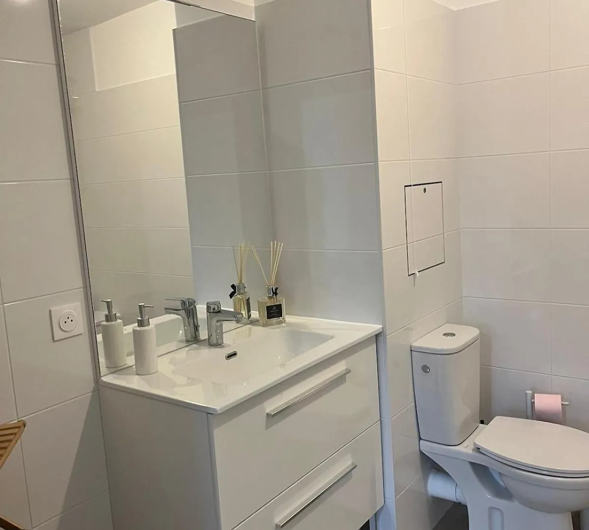 Seemingly Spacious Modern & Bright Chic Paris France